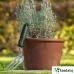 GARDEN BOSCH HFS - ГРАДИНСКА РЪЧНА ВИЛА